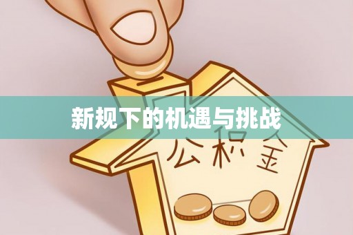 北投新规下的机遇与挑战