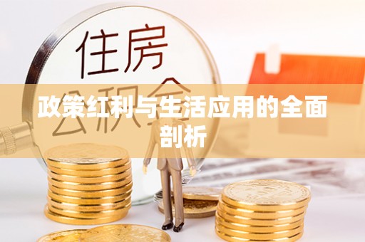 北投政策红利与生活应用的全面剖析