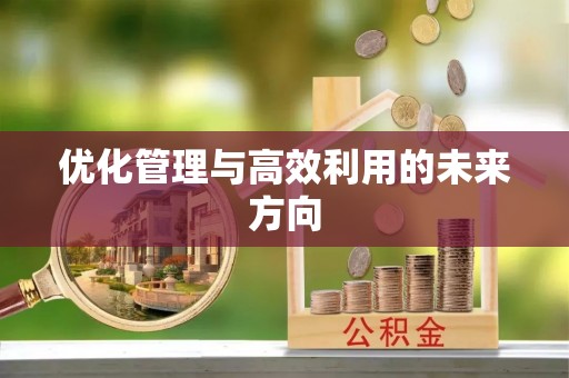 北投优化管理与高效利用的未来方向