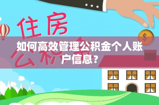 北投如何高效管理公积金个人账户信息？